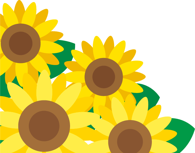 ひまわり