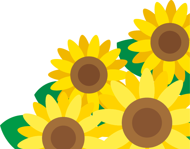 ひまわり