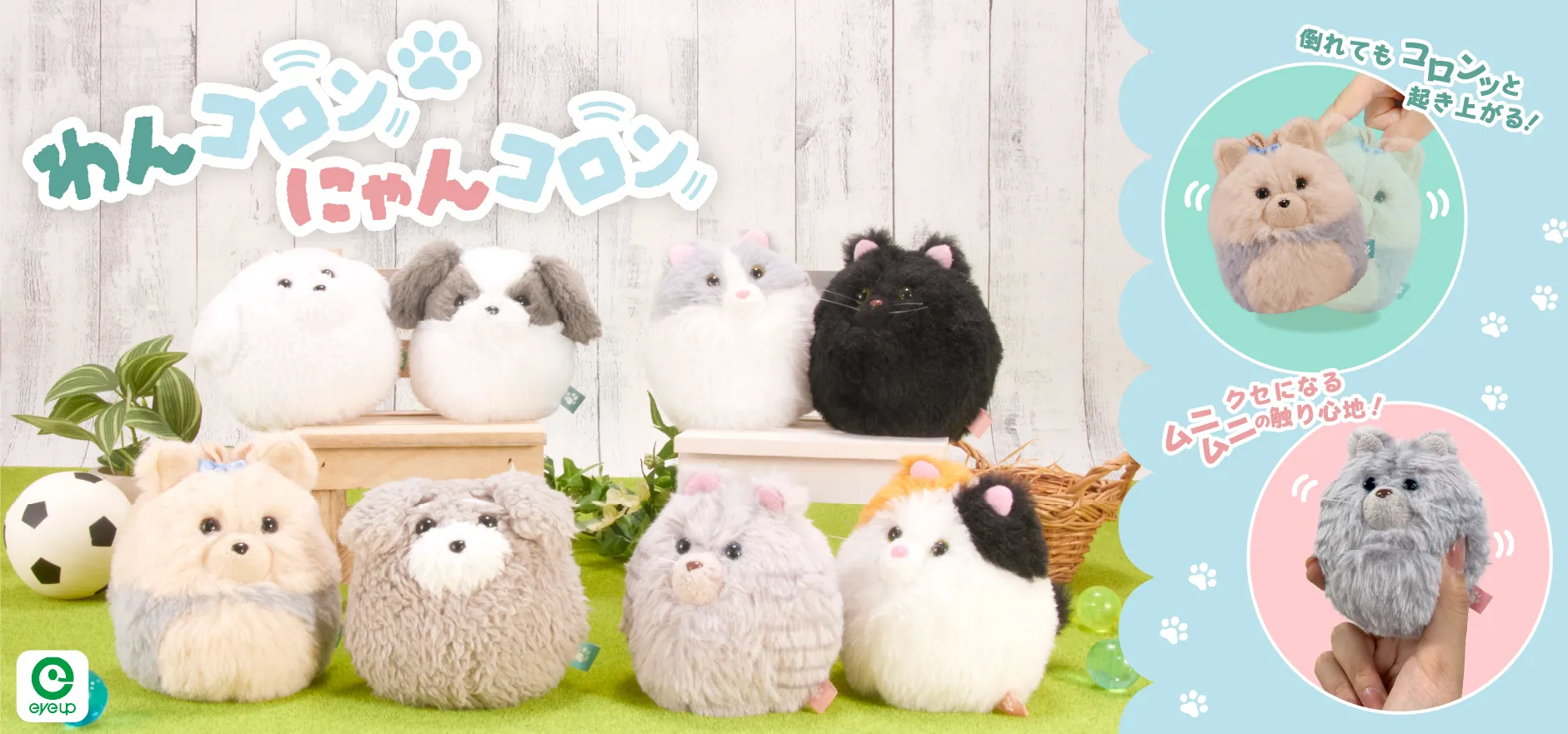 わんコロンにゃんコロン
