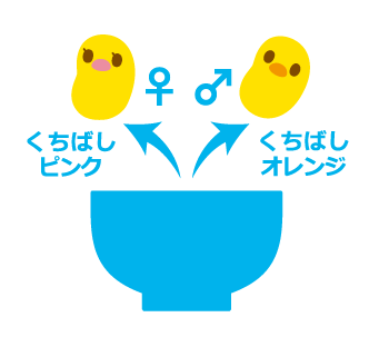 ひよこ豆のオスメスを仕分けるゲーム