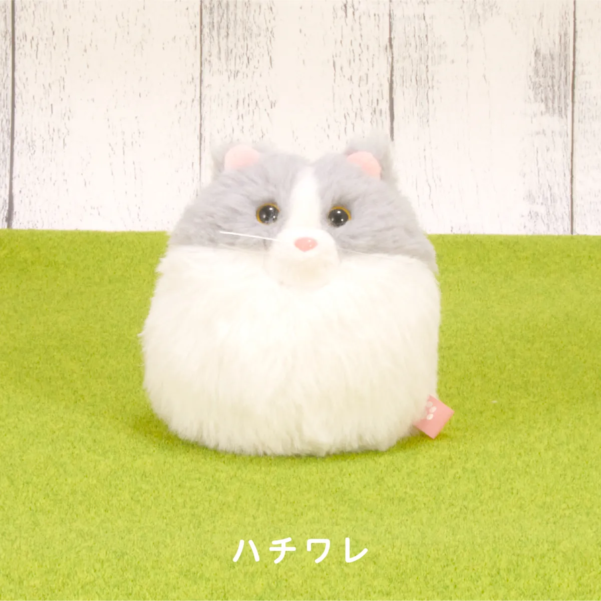 にゃんコロン（ハチワレ）