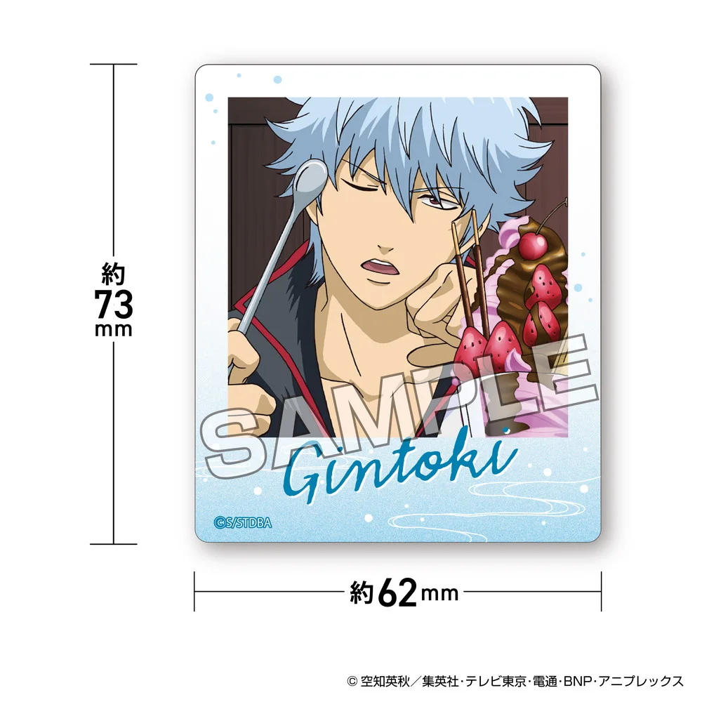 TVアニメ『銀魂』 インスタントフォトマグネットvol.2