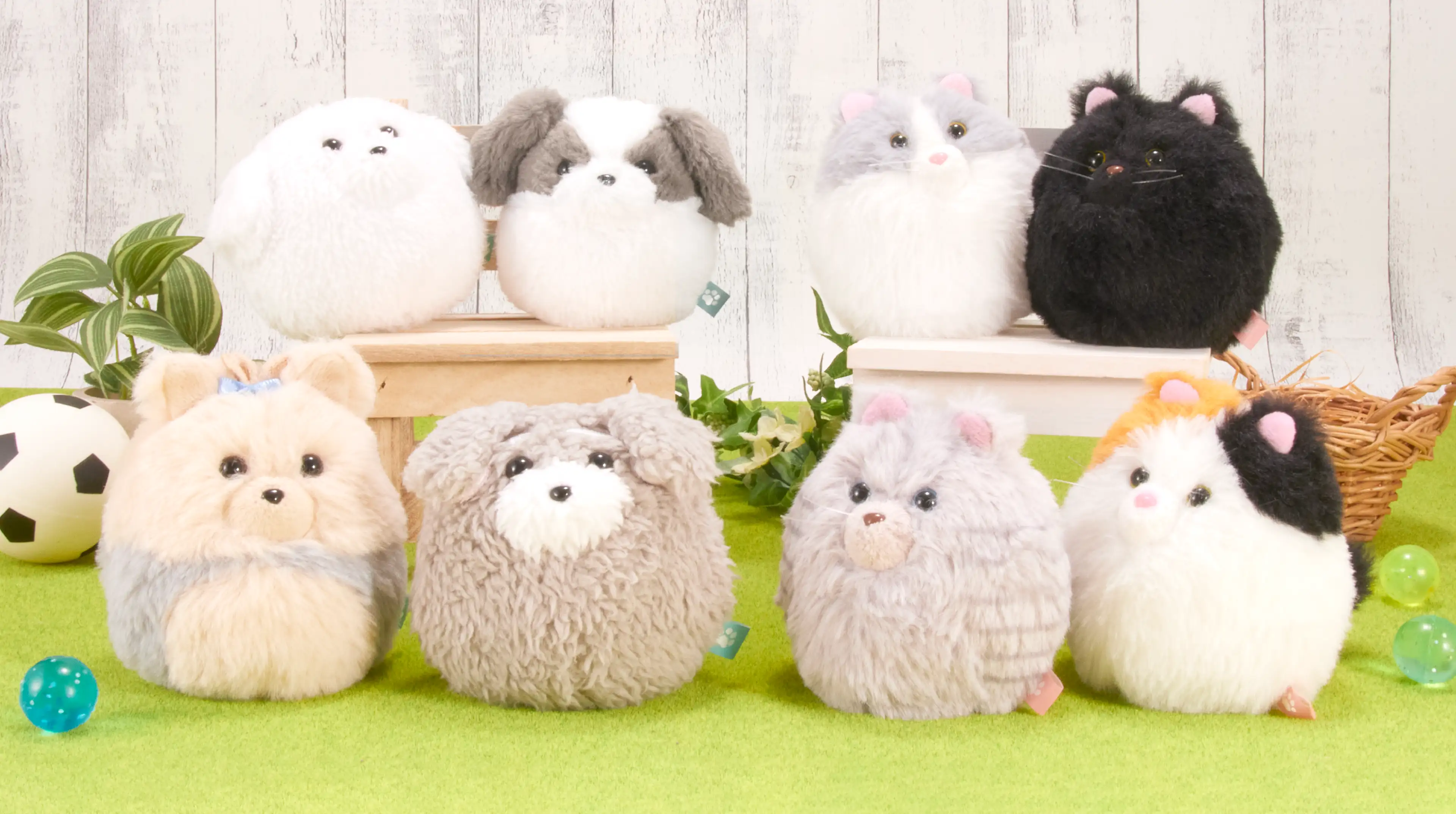 わんコロン にゃんコロン