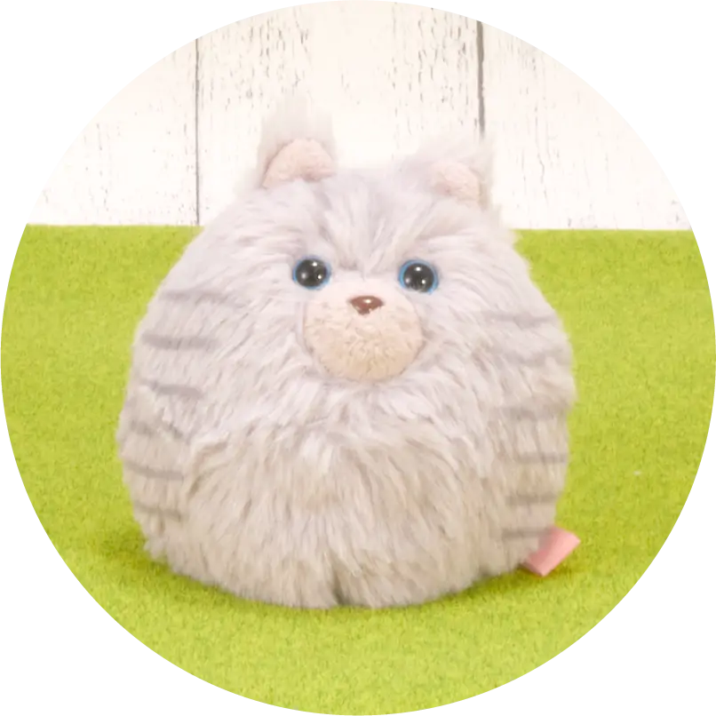 アメリカンショートヘア