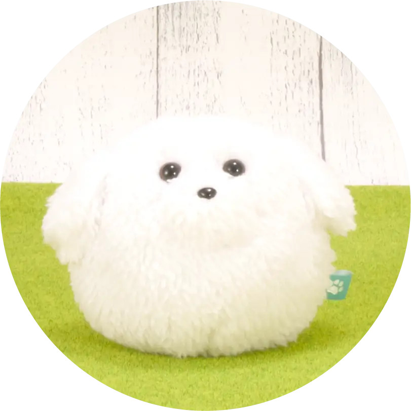 ビション・フリーゼ