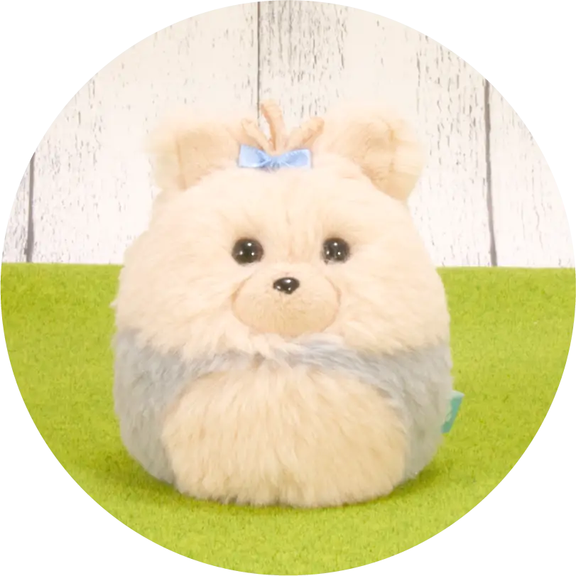 ヨークシャー・テリア