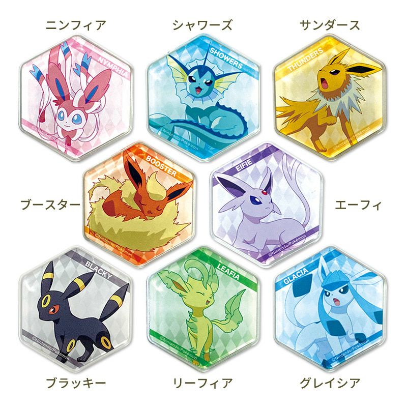 アイアップ公式通販 ポケットモンスター ハニカムアクリルマグネット メール便可 ご注文より15営業日前後にて発送 マグネット