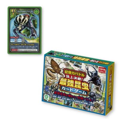 記憶力バトル頂上決戦！最強昆虫カードゲーム