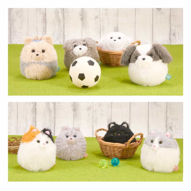 わんコロン にゃんコロン イメージ