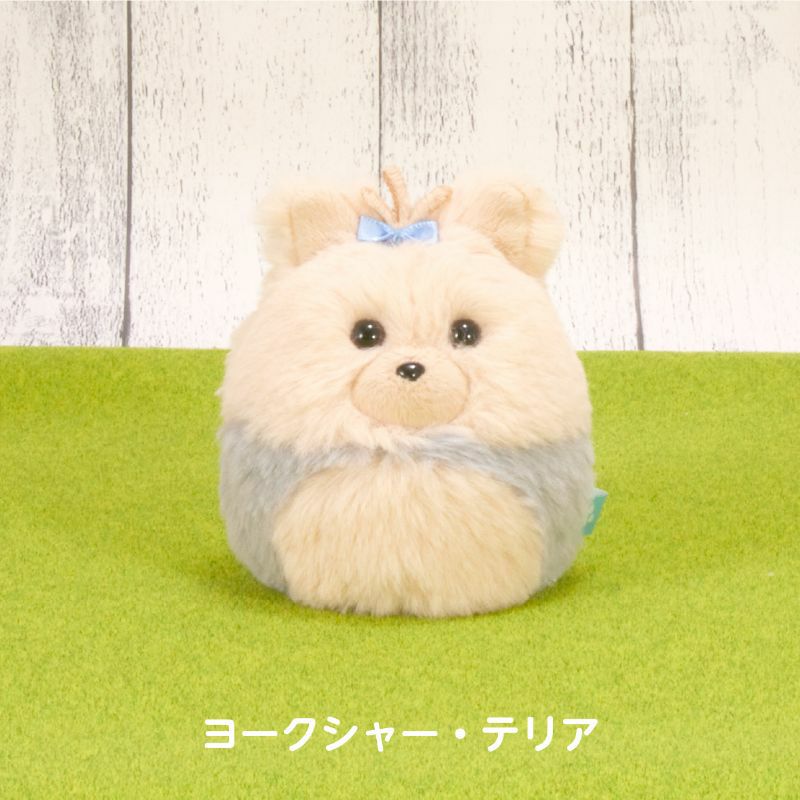 わんコロン （ヨークシャー・テリア）