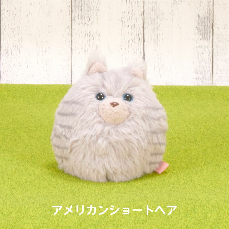 にゃんコロン （アメリカンショートヘア）